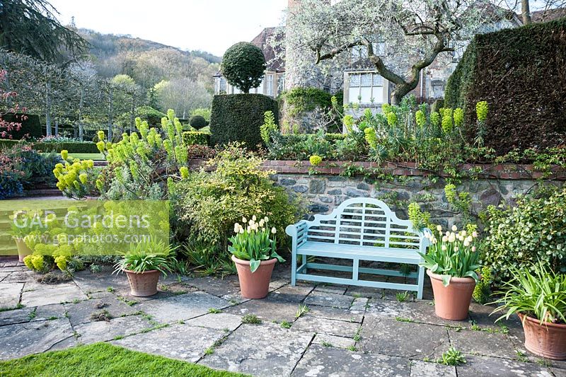 Lower terrace with bench framed by pots of Tulip 'Ivory Floradale' and limey green euphorbias. Little Malvern Court, Worcestershire, UK