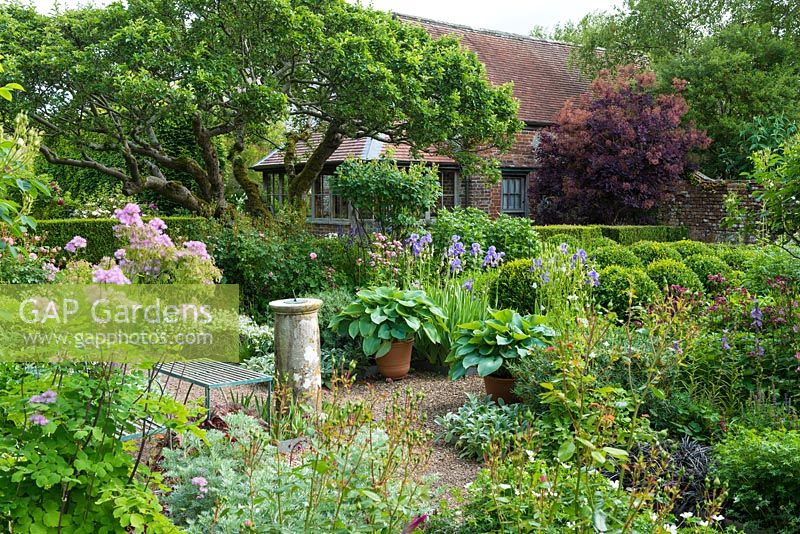 Formal garden in summer with old sundial, gravel paths, roses, herbaceous perennials, box topiary, irises, thalictrum, hostas in pots and view to summer house and barn.