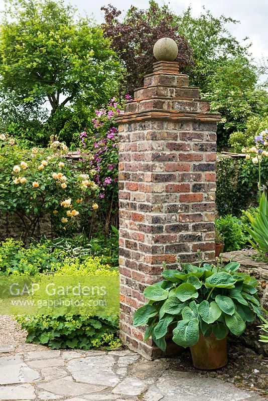 Brick pier constructed from reclaimed materials. Hosta in pot, alchemilla, Rosa 'Buff Beauty' and clematis on garden wall.