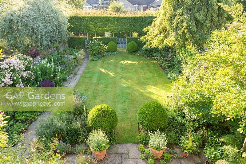 Aerial view of formal town garden with lawn, Box topiary and herbaceous borders. Geranium, salvia, epilobium. alchemilla, deschampsia, roses. Pleached field maples and hawthorn hedges.