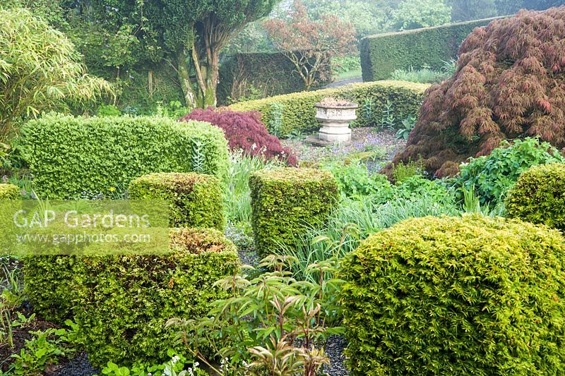The 'best' garden at the front of the house is the most formal area of the garden, with clipped hedges of yew and box framing a mix of herbaceous plants and shrubs including varieties of Acer palmatum Dissectum group. Windy Hall, Windermere, Cumbria, UK