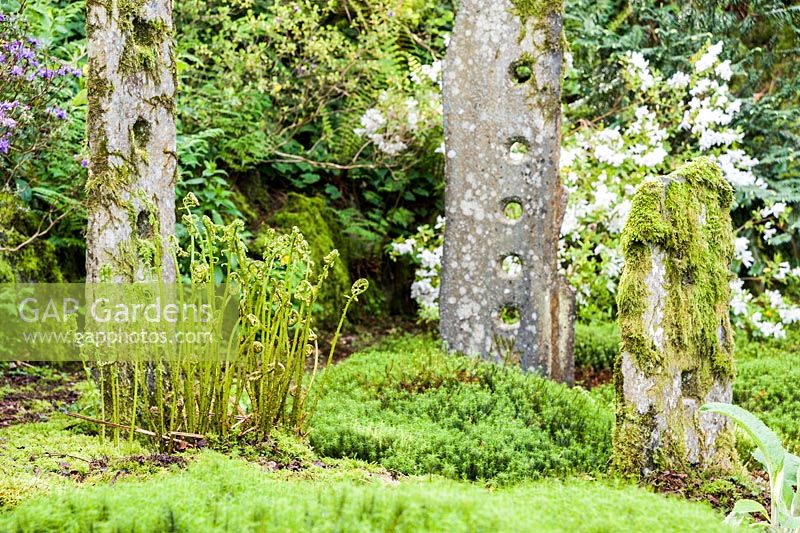 Japanese inspired quarry garden features standing stones and mounds of emerald moss. Windy Hall, Windermere, Cumbria, UK