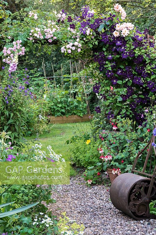 A country cottage garden with Rosa 'Belvedere', Rosa 'Compassion' and Clematis 'Etoile Violette' scrambling over a rustic arch which frames view of potager beyond. Pebble path edged in borders of leucanthemum, alchemilla, hardy geranium, fuchsia and Jacob's ladder.