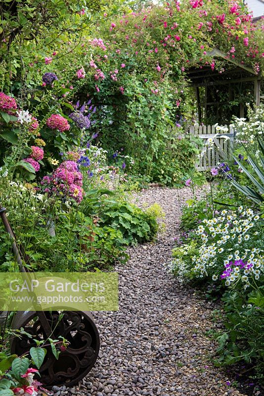 A cottage garden with cast iron roller on a gravel path leading to pink rambling rose on a wooden arch.