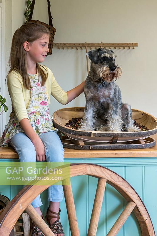 Orla Groves with Wurzel, a miniature Schnauzer, sitting in a willow dog basket made by Charlie Groves, maker of traditional Sussex trugs.