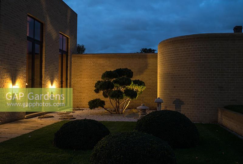 Japanese style garden with bonsai tree, gravel. Clipped Buxus - box balls. Night Lighting. Design and Build: J Winter Landscapes Ltd