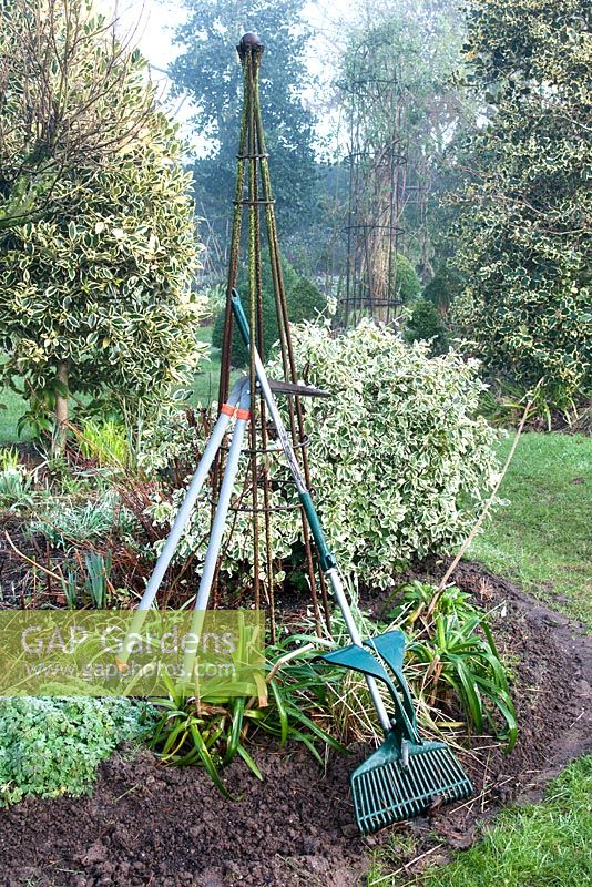 Garden in winter with garden tools resting against metal obelisk in flowerbed with Ilex Galanthus Dicentra and Euonymus fortunei at 'Weeping Ash', Cheshire, February
