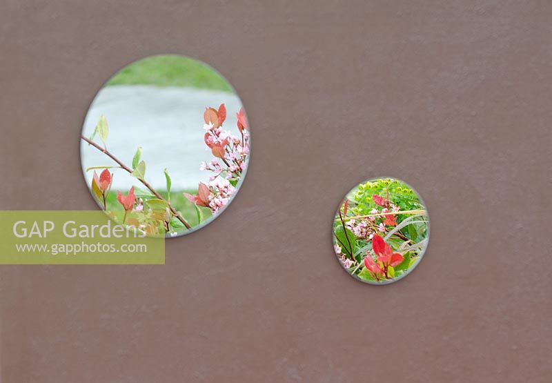 Garden mirrors on wall - The 'Blush' Garden, RHS Malvern Spring Festival 2014