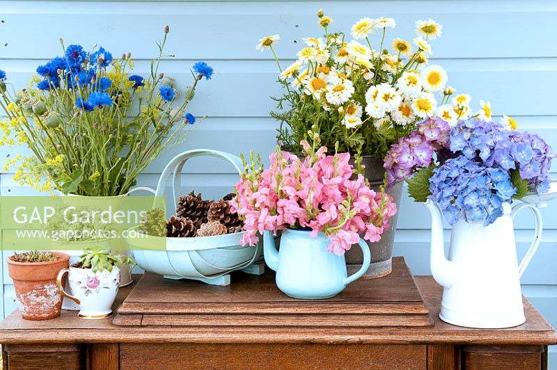 Cut flowers arranged in various containers against blue wooden shed
