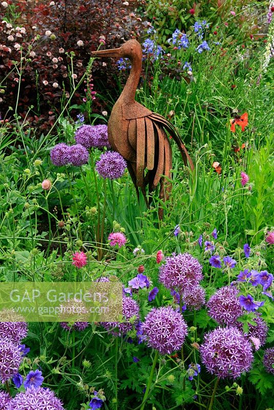 Drifts of Allium aflatunenese and Geranium ibericum lead the eye up to a rusted bird sculpture that forms an eye catcher in a border. June. Worcestershire