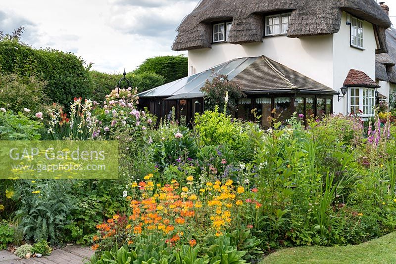 A cottage garden with colourful mixed border of cadelabra primula, achillea, nepeta, paeonia roses 'Fantin Latour' and 'Phyllis Bide' on obelisk, poppies, geranium and foxgloves.