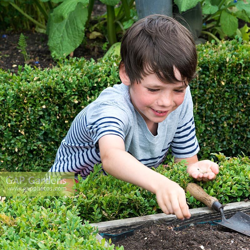 Oscar Isaac, 9, scatters seeds into his vegetable patch.