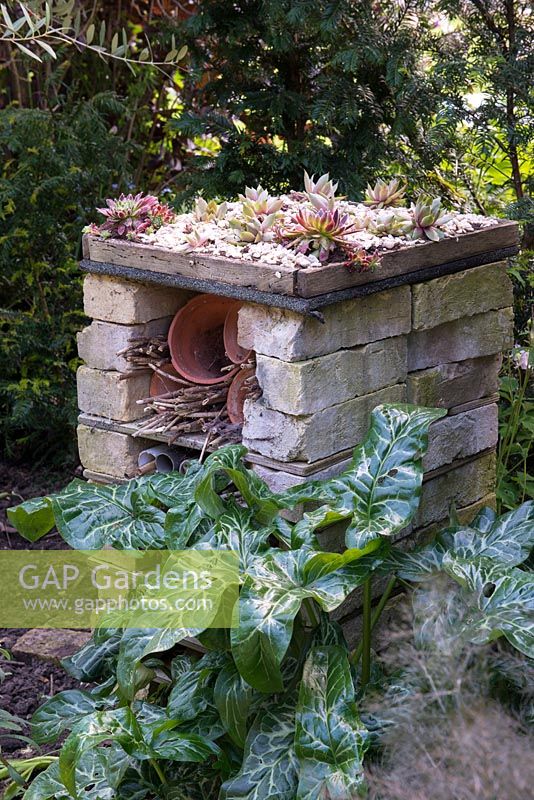 An insect hotel made from brick, with succulent echeveria growing on the roof.