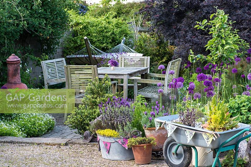A patio seating area behind a small container garden planted with lavender, origano, thyme, sage and strawberry in terracotta containers, metal bath tub and upcycled wheelbarrow.