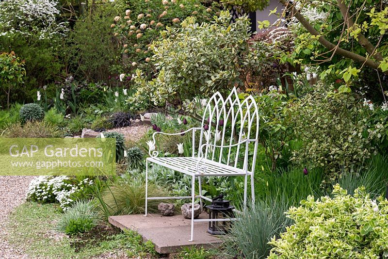 An ornate metal bench in a white garden planted with tulips 'White Triumphator' and 'Queen of the Night', honesty, narcissi, spirea and alyssum.