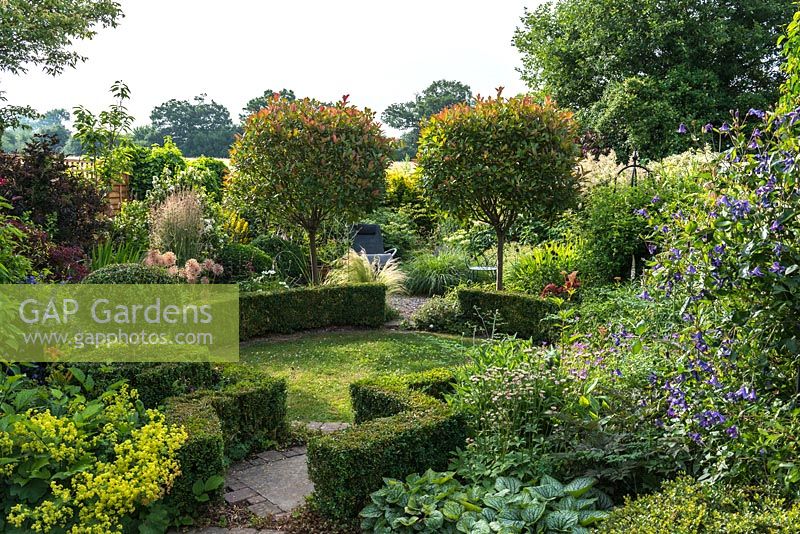 A suburban garden with a circular structure created by shaped box and a clover lawn. Two Photinia x fraseri standards divide the garden and provide height. Deep borders of mixed planting includes Astrantia, Alchemilla, Clematis, Geranium and ornamental grasses.
