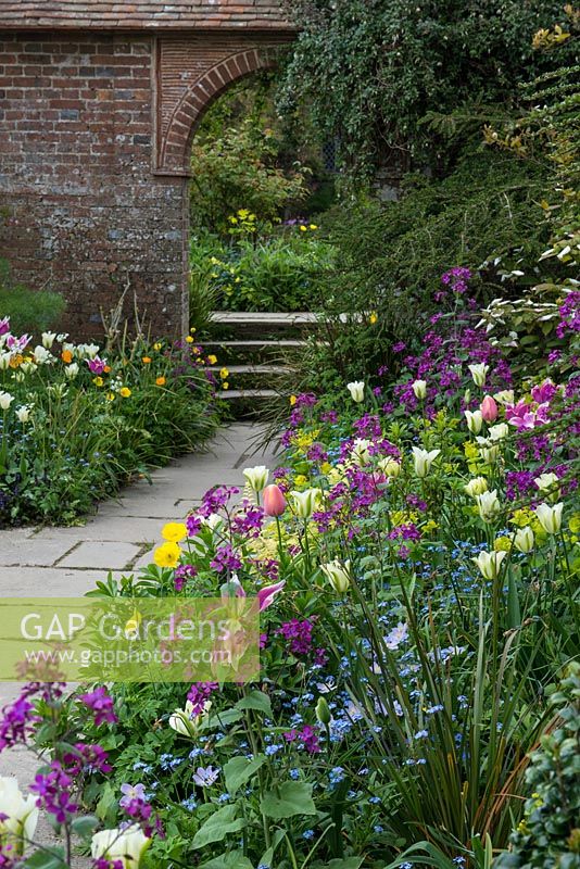 A spring border with Tulipa 'Spring Green', pink honesty, Meconopsis cambrica and Myosotis sylvatica, April. Great Dixter.