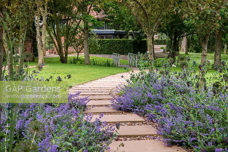 A curved path edged with catmint and honeywort.