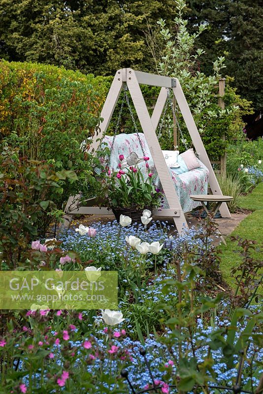 A mixed spring border with Tulipa Purissima, Forget-me-nots and red campion in front of a wooden framed swing seat.