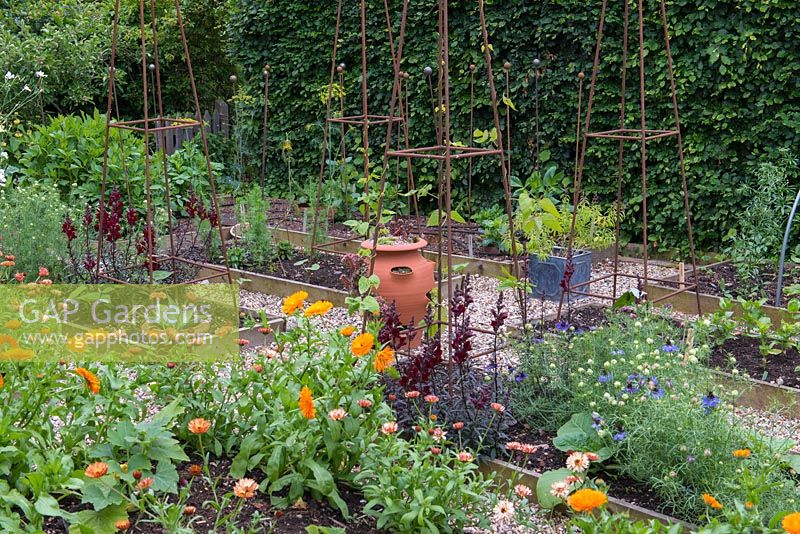 Potager with raised beds of beans, dahlias, nigella, marigolds, snapdragons and parsnips.