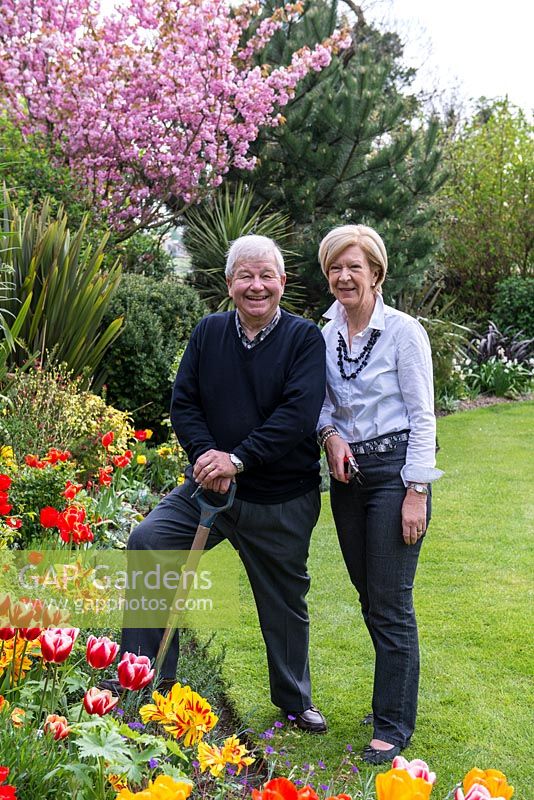 Michael and Caroline Dedman. Tulips: Lucky Stripe, Ruby Red,