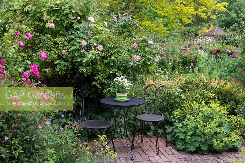 A secluded seating area on a brick patio surrounded by alchemilla, poppies and roses 'Vanity', 'Blush Noisette'.
