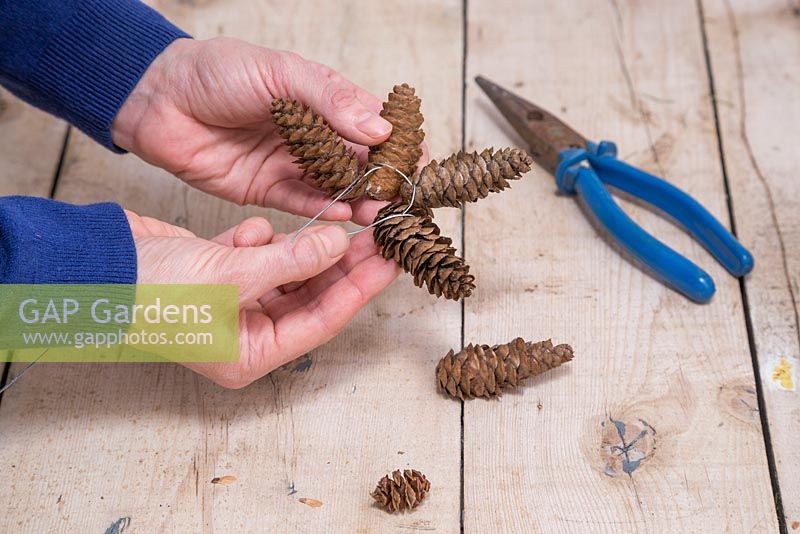 Wrap the wire around the bottom of the Pine cones