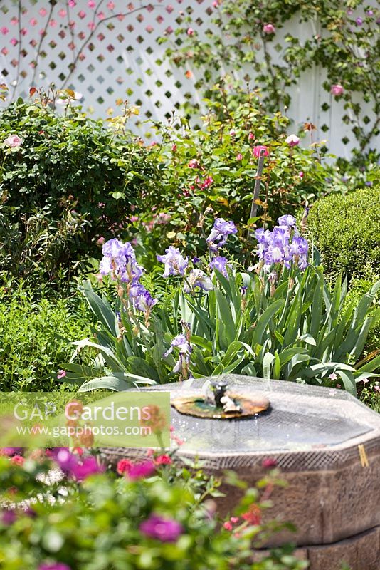 English cottage style garden with free standing water feature
