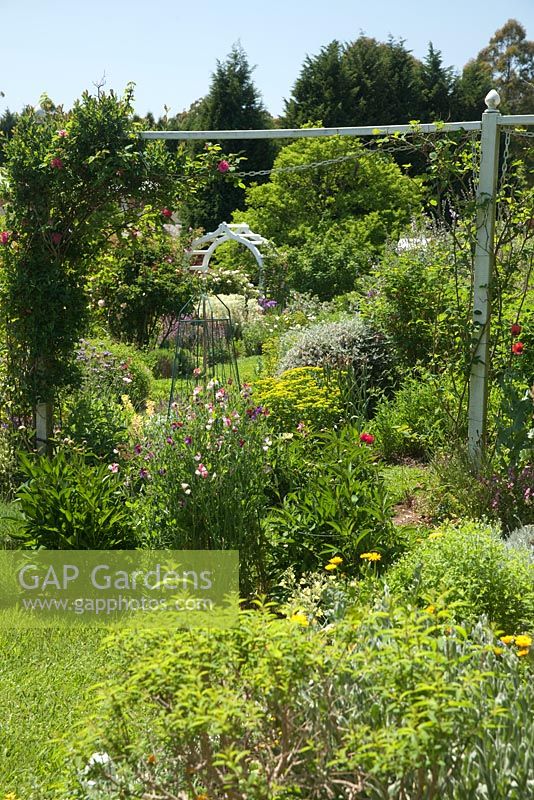 English cottage style garden with rose arbour, perennials and shrubs.