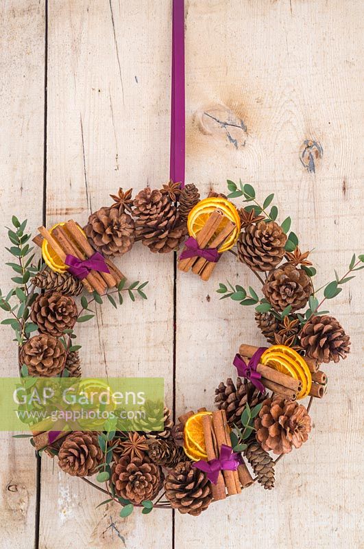 A scented wreath featuring dried Citrus fruit, Cinnamon sticks, Star anise, Pine cones and sprigs of Eucalyptus
