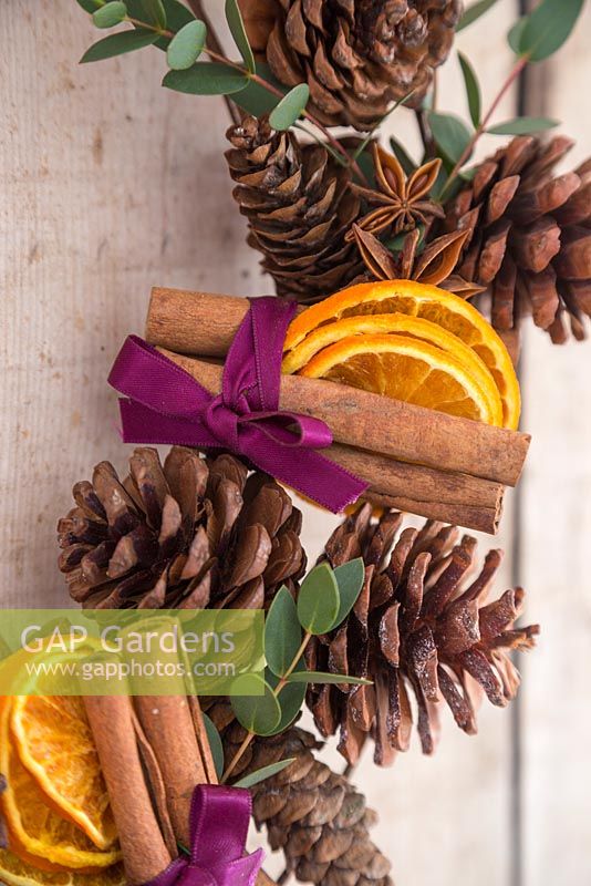 Detail of scented wreath featuring dried Citrus fruit, Cinnamon sticks, Star anise, Pine cones and sprigs of Eucalyptus