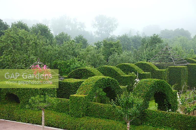 View of the hornbeam 'cloister' at Le Prieuré  Notre-Dame d'Orsan in the mist