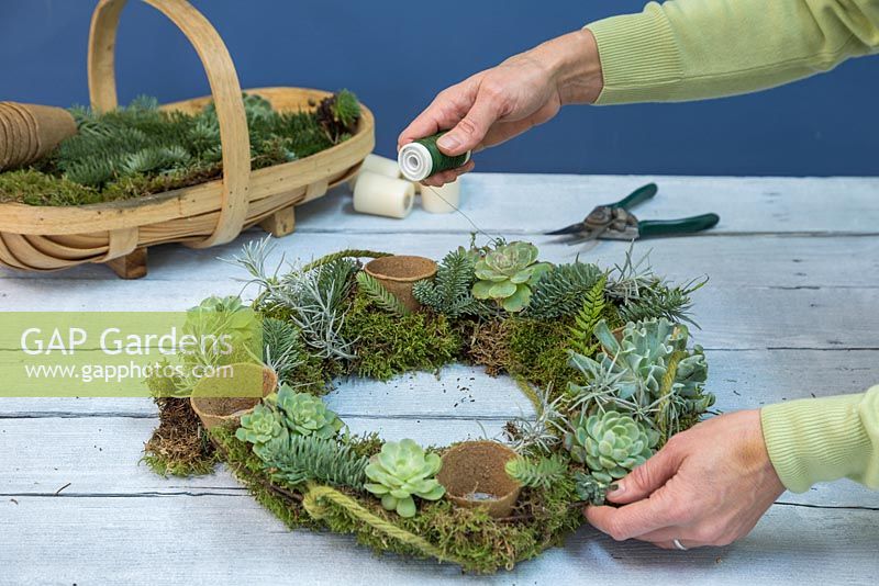 Use the florist wire to secure the Moss and Succulent planting to the wreath frame