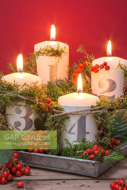 Advent candles with numbered clay plates, Pyracantha and Moss against a red background