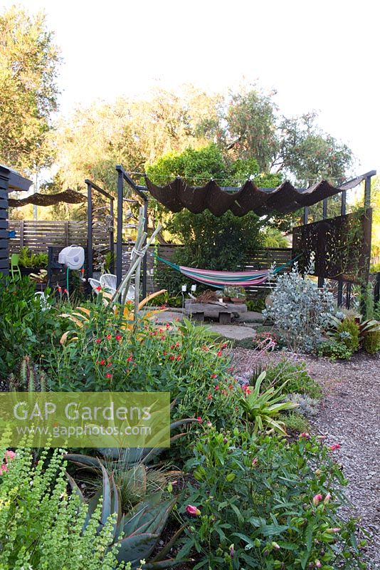 View into seating area of garden showing chairs and hammock. In the foreground: red flowers of Ruellia elegans, behind it yellow foliage of Aechmea blanchetiana, Ocimum basilicum - basil flowers, agave and native hibiscus