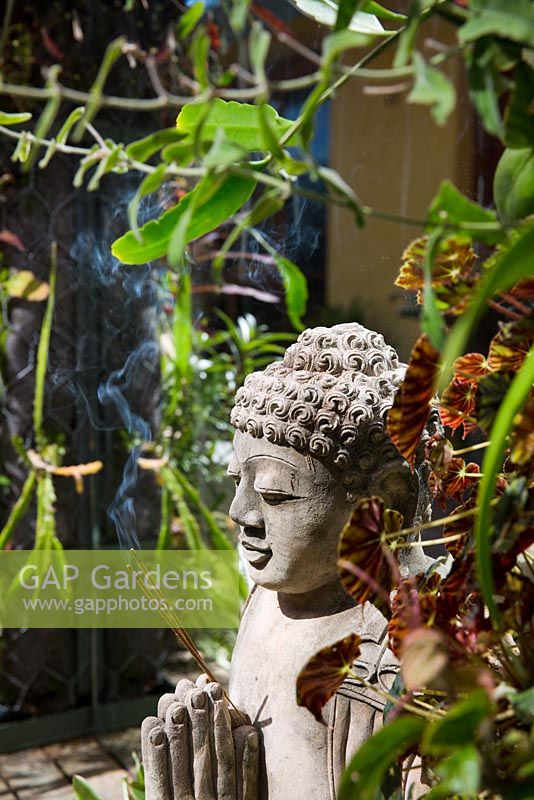 Detail of garden showing greenwall of various plants including begonia and succulents, with Buddha statue and incense. 