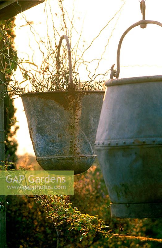 Rustic metal containers. Lesley Rosser's garden. Gloucestershire