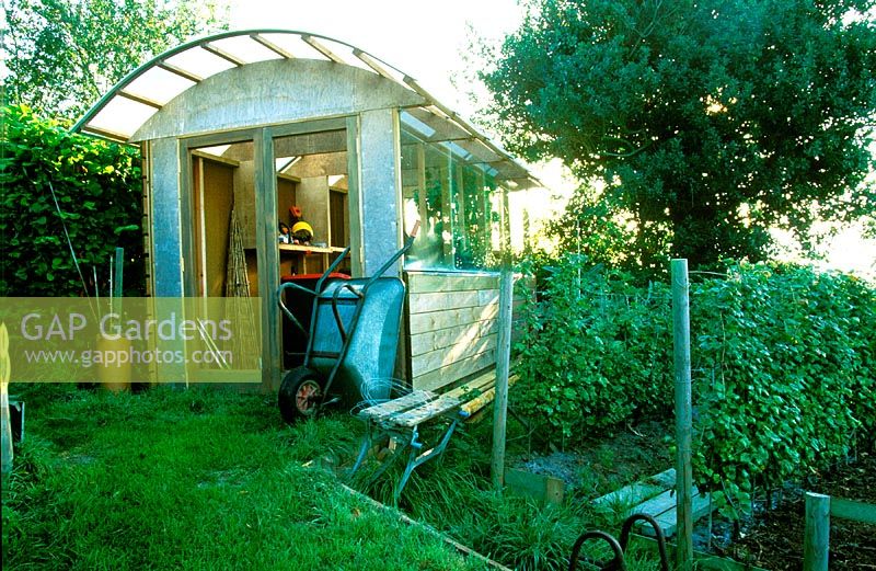 modern shed with veg... stock photo by lynn keddie, image