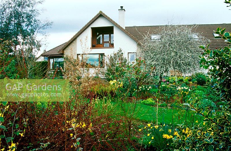 Isobel Cameron's garden. Fortrose. Scotland 