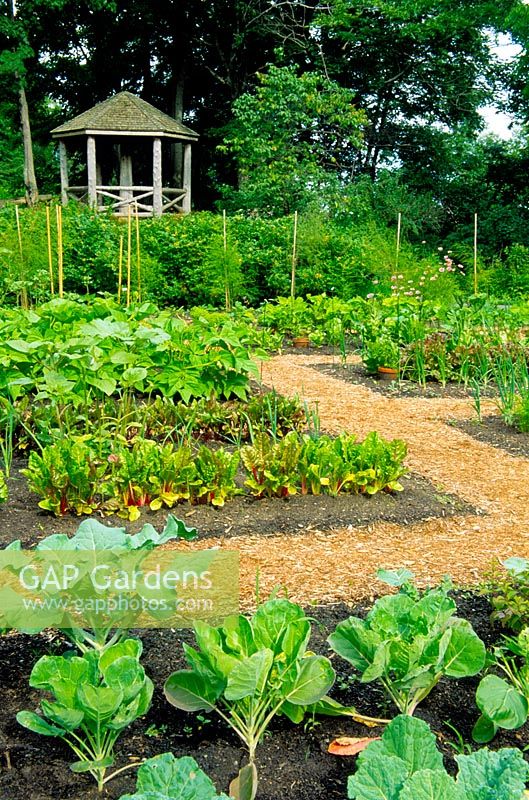 Vegetable garden seperated with gravel path