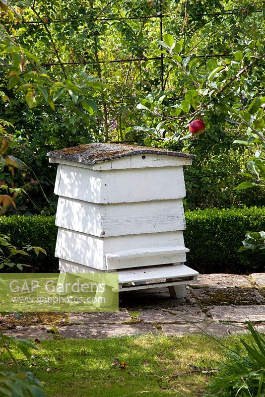 Wooden bee hive in shady orchard, September