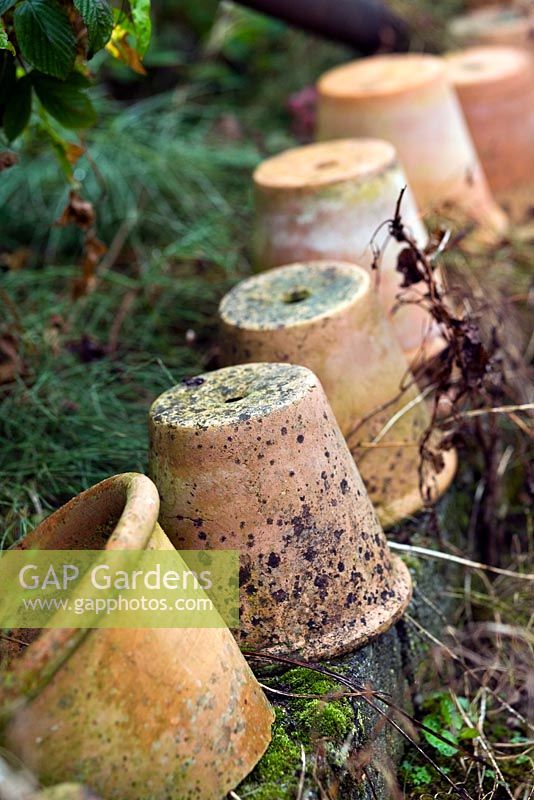 Empty terracotta pots in the garden