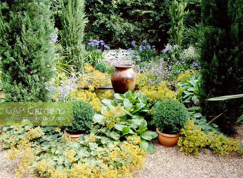 Small courtyard town garden, cupressus sempervirens, small formal pool with empty urn ornament and alchemilla mollis. August. Lexley Duncan's garden, London