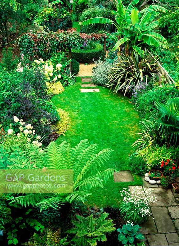 Allerton Rd garden. Small town garden with exotic feel. Tropical green plants and interesting features, late summer