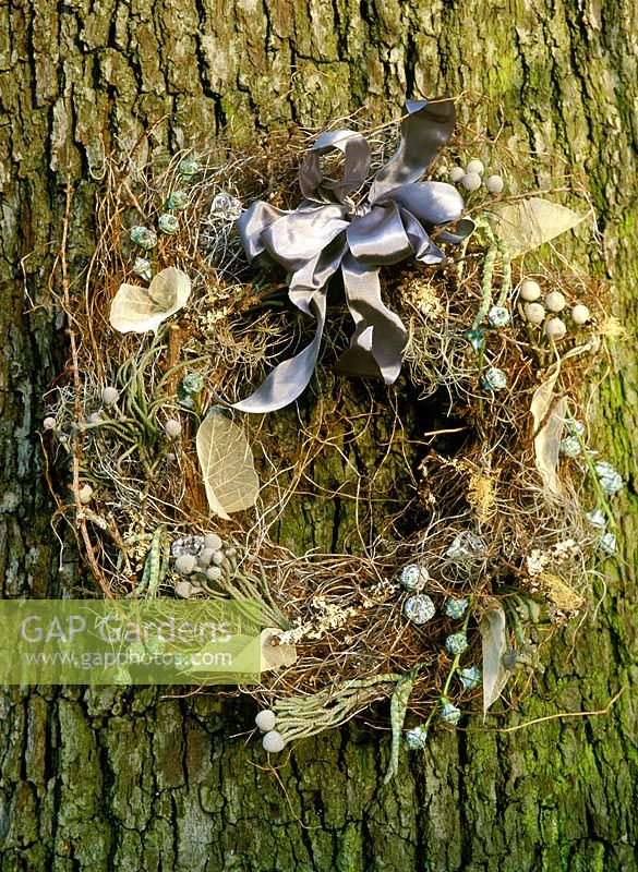 Dried Christmas twig wreath on tree with eucalyptus pods, skeleton leaves, lichens and ribbon bow.