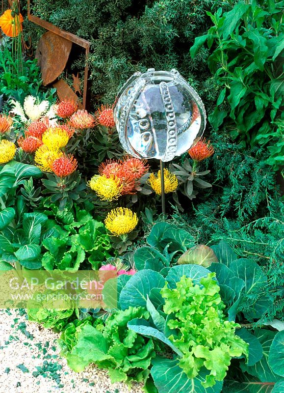 Chelsea flower show 2003: Hasmead Octopus garden. Design: Marney Hall. Glass ball ornament designed by: Owen Bush, surrounded by cryptomeria protea, courgettes and lettuce