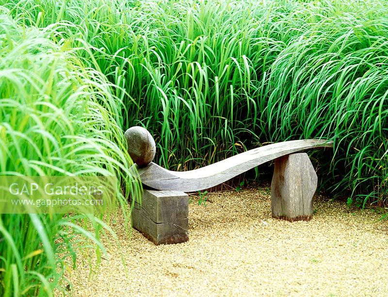 Stylised reclaimed oak bench set in gravel, with background planting of miscanthus sacchariflorus - silver banner grass.  Designer: Anthony Paul. Vineyard Manor, 