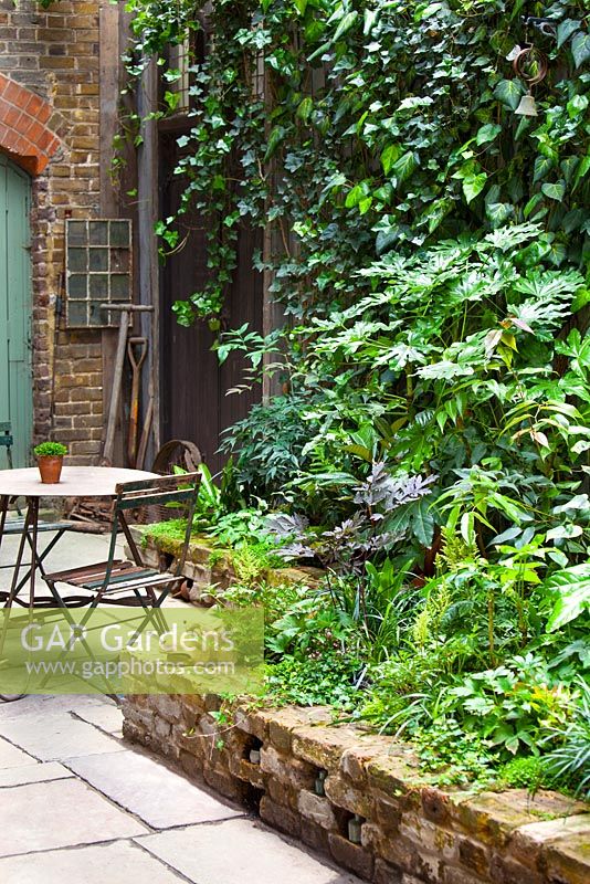 Walled bed with gargoyle, table and chair with old garden tool in the back ground. Asilbe 'White Glory', Actea simplex 'James Compton', Thalictrum kiusianum. Lucille Lewins, small office court yard garden in Chiltern street studios, London. Designed by Adam Woolcott and Jonathan Smith 