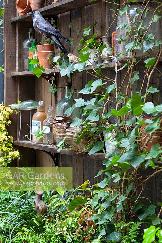 View of plants climbing wooden shelf filled with artefacts, Lucille Lewins, small office court yard garden in Chiltern street studios, London. Designed by Adam Woolcott and Jonathan Smith 