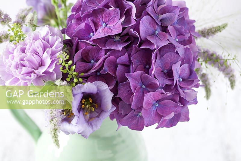 Bouquet of purple Hydrangea, Dianthus, Veronica ansd Thaspi